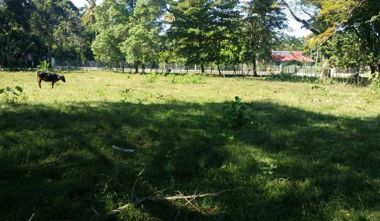 eyJidWNrZXQiOiAiYWx0ZXJlc3RhdGUiLCAia2V5IjogInN0YXRpYy9wcm9wZXJ0aWVzL0pTUkhOUEMxTkQvWVlFRDlPRUxITS9SWmdMVVhjM3NVL0VZMD